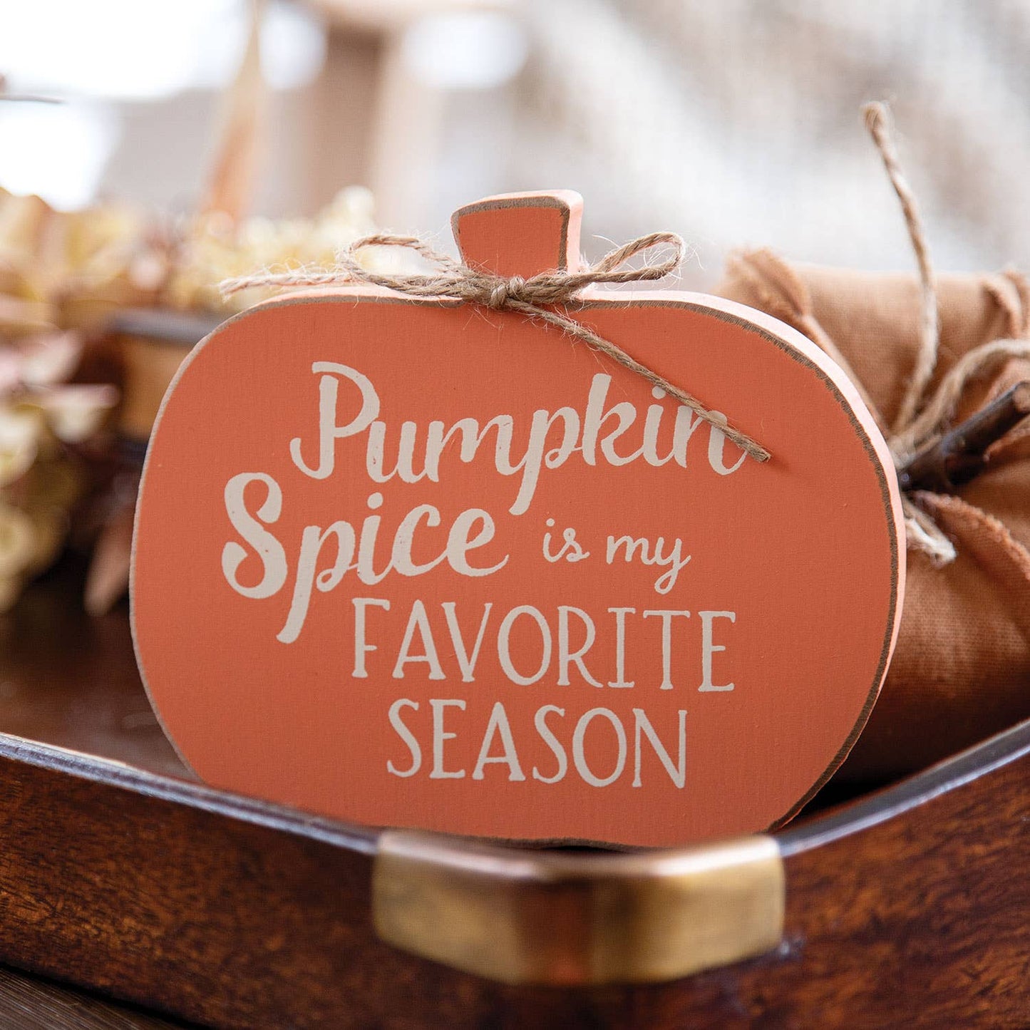 Pumpkin Spice is My Favorite Season Pumpkin Sitter